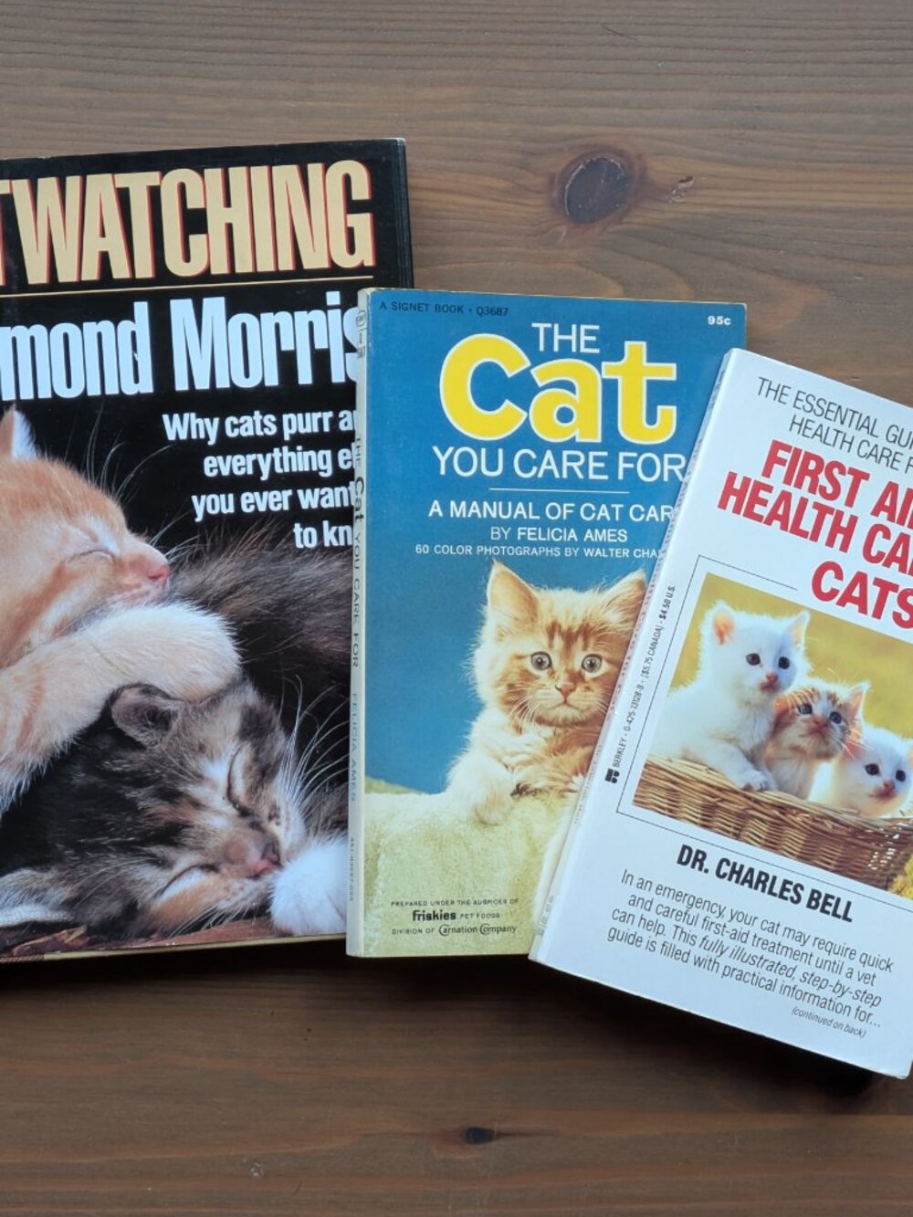 3pk VINTAGE CAT BOOKS - Cat You Care For (Felicia Ames Paperback 1968) CatWatchi